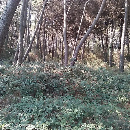 Villino La Fontana Διαμέρισμα