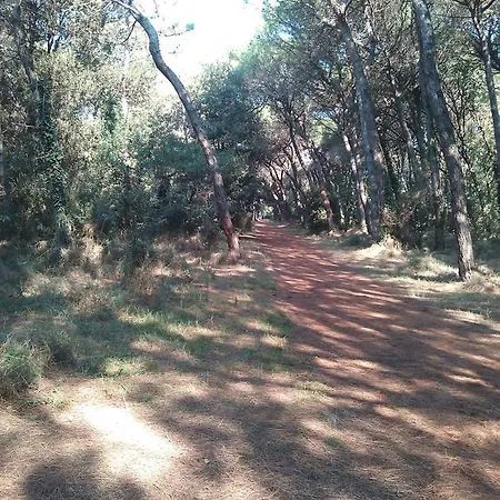 Villino La Fontana Διαμέρισμα *