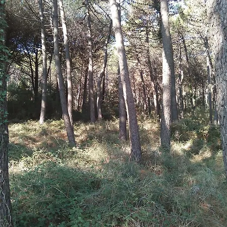 Villino La Fontana