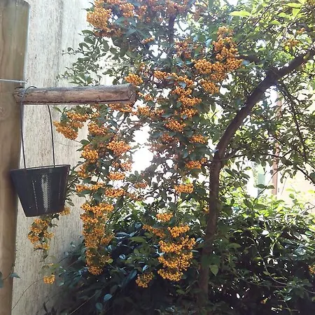 Villino La Fontana Διαμέρισμα Punta Marina