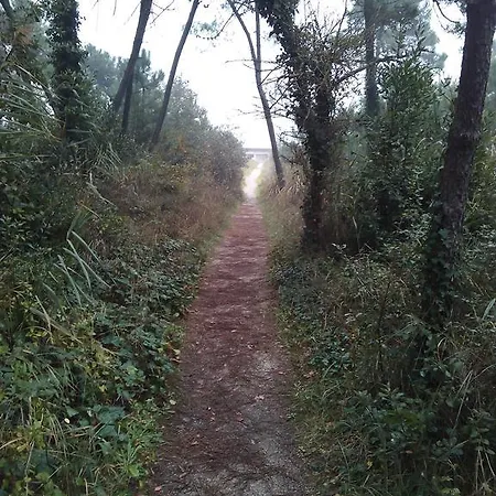 Διαμέρισμα Villino La Fontana Punta Marina