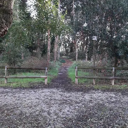 Διαμέρισμα Villino La Fontana